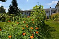 Resident garden